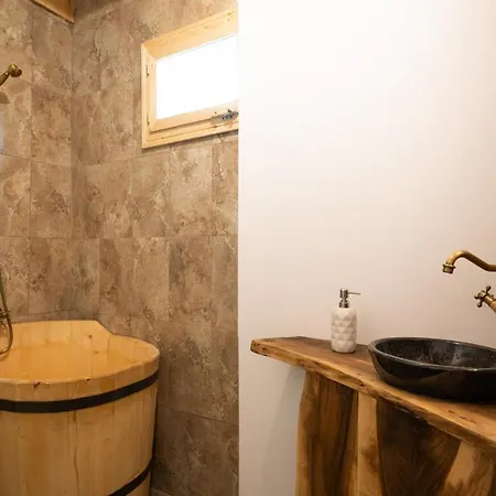 Casa Bunicilor Apuseni Guest house