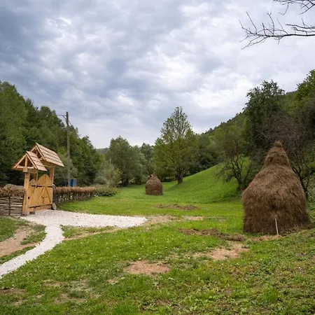 Casa Bunicilor Apuseni *