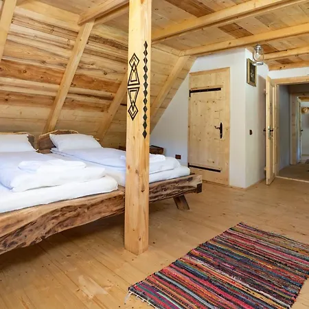 Casa Bunicilor Apuseni Geogel