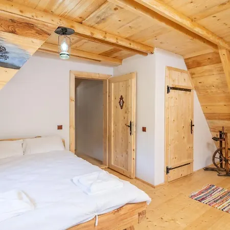 Gasthuis Casa Bunicilor Apuseni *
