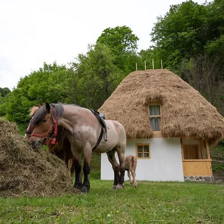 Casa Bunicilor Apuseni * Geogel
