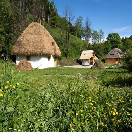 Casa Bunicilor Apuseni Geogel